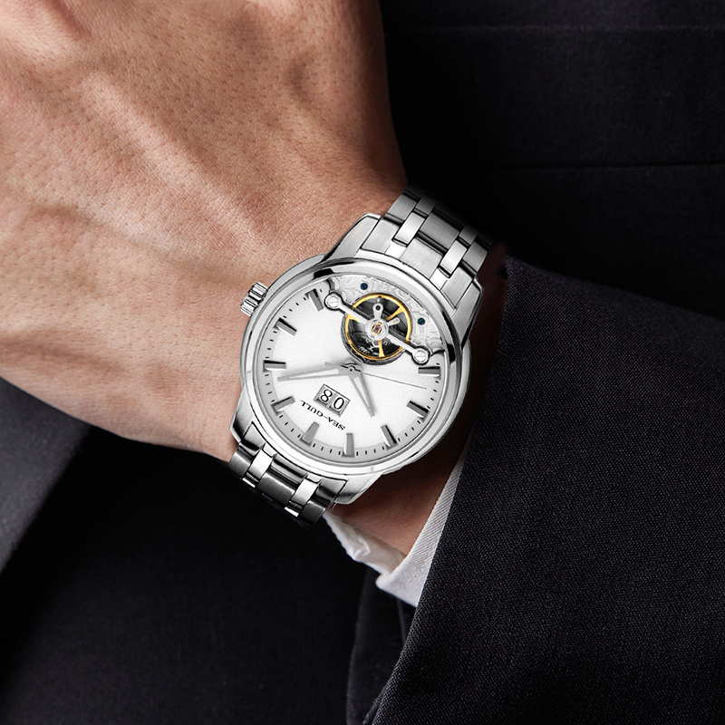 Seagull Flywheel Series Men's  - огляд і ціна Omega Watch Constellation